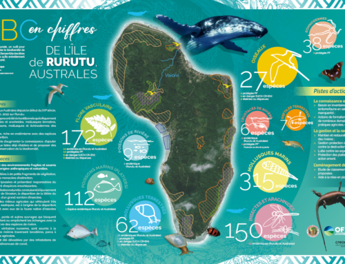 Atlas de la biodiversité communale (ABC) de l’île de Rurutu (Australes) – Panneau