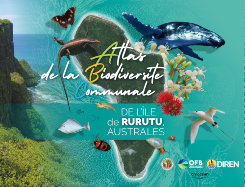 Atlas de la biodiversité communale (ABC) de l’île de Rurutu (Australes)