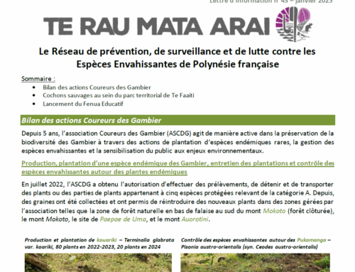 Newsletter Espèces envahissantes n°43 (Janvier 2025)